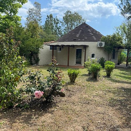 Cugnana Porto Rotondo Bungalows - Camping Buitenkant foto