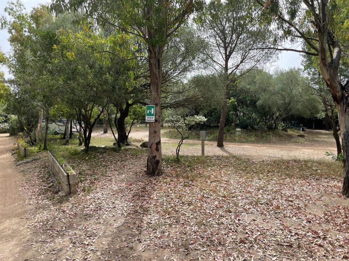 Cugnana Porto Rotondo Bungalows - Camping Buitenkant foto