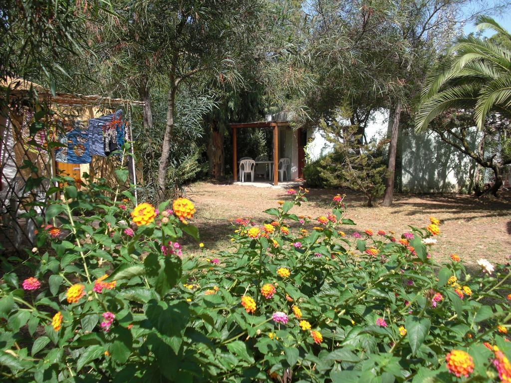 Cugnana Porto Rotondo Bungalows - Camping Kamer foto